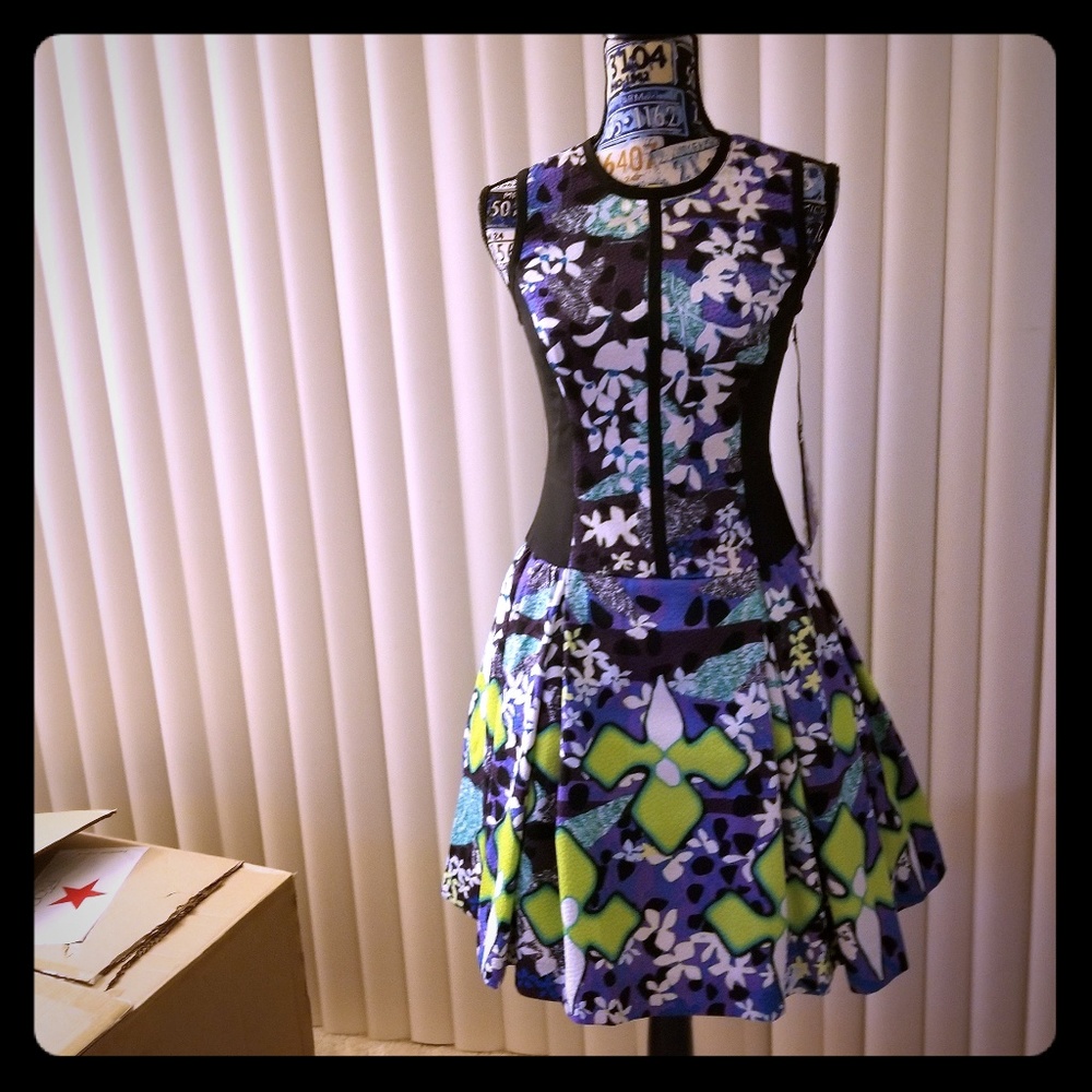 Peter Pilotto Dress